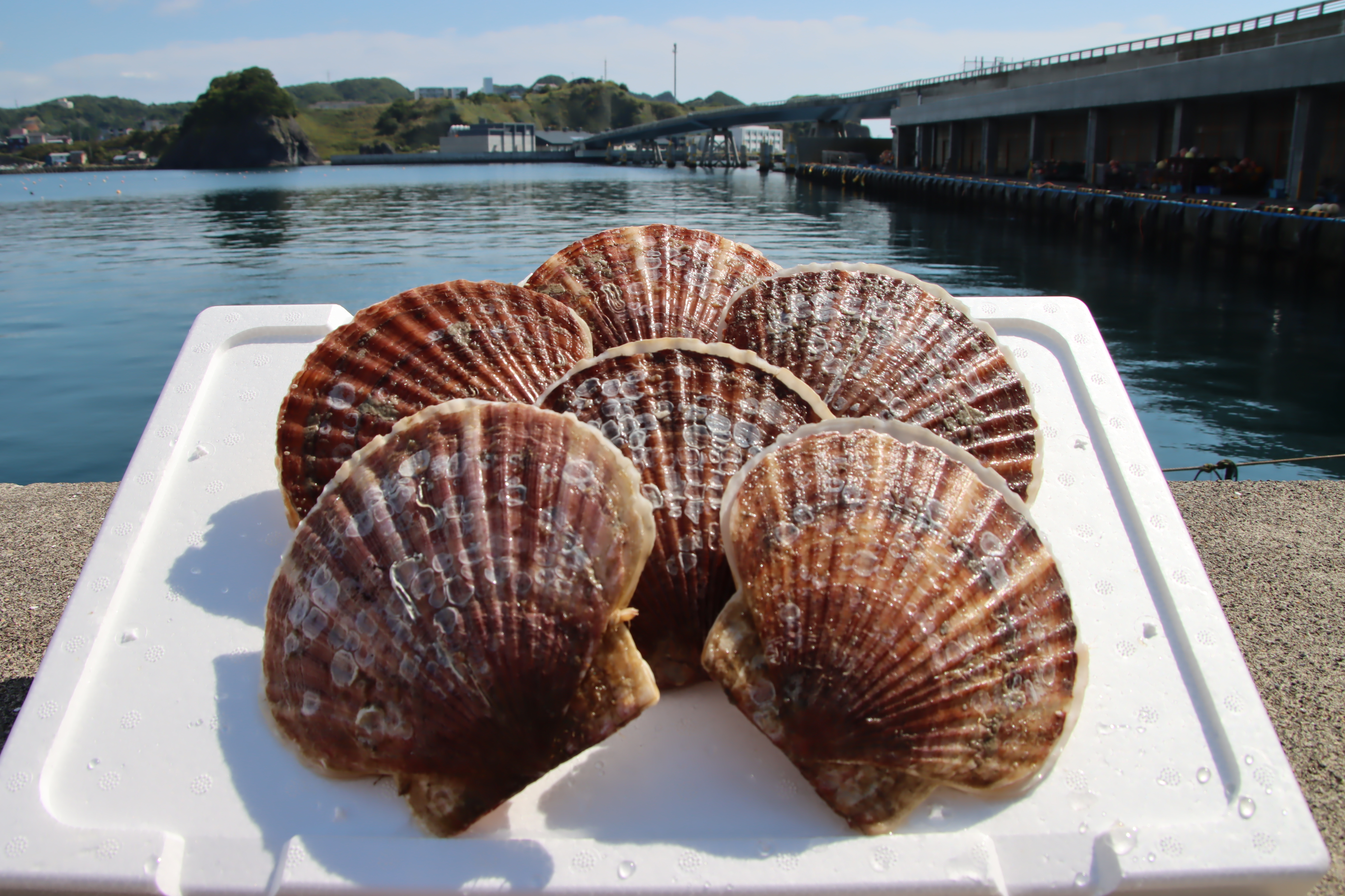 今月の健康レシピの食品